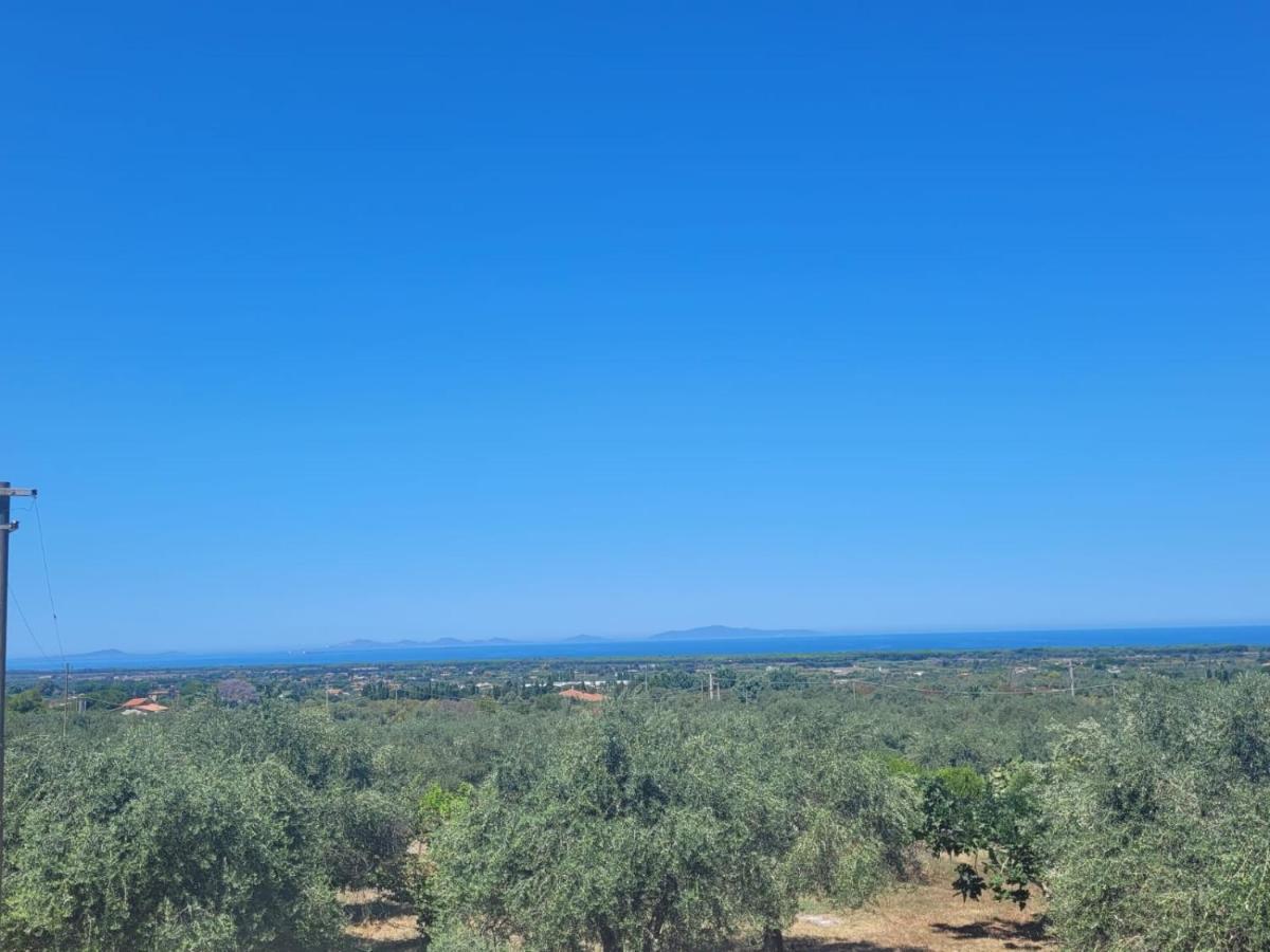 Villa Maddalena Guest House Sorso Eksteriør bilde