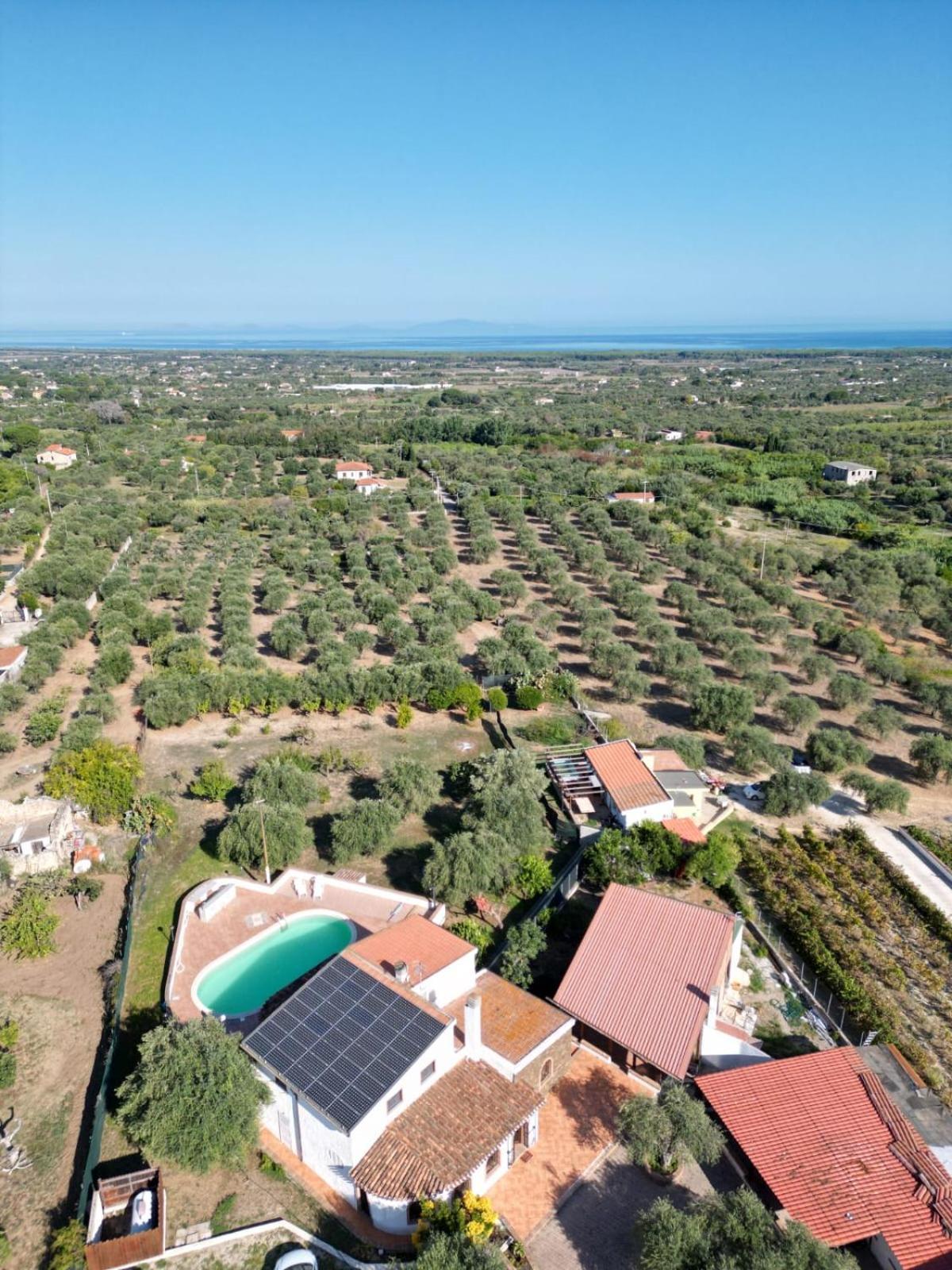 Villa Maddalena Guest House Sorso Eksteriør bilde